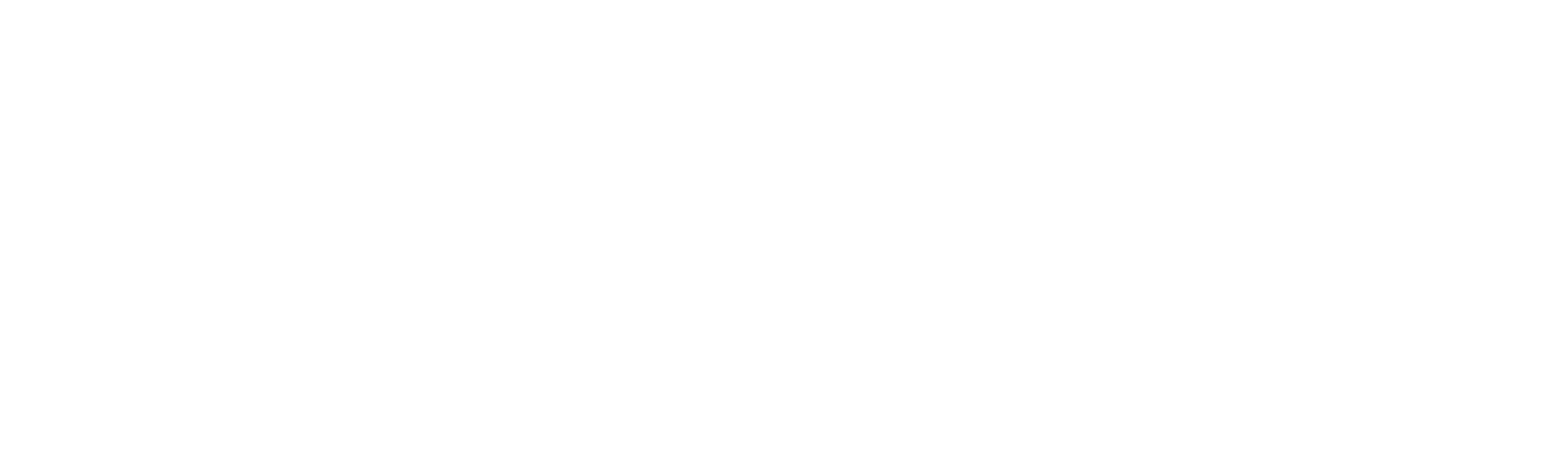 BENXU 本草序养生茶